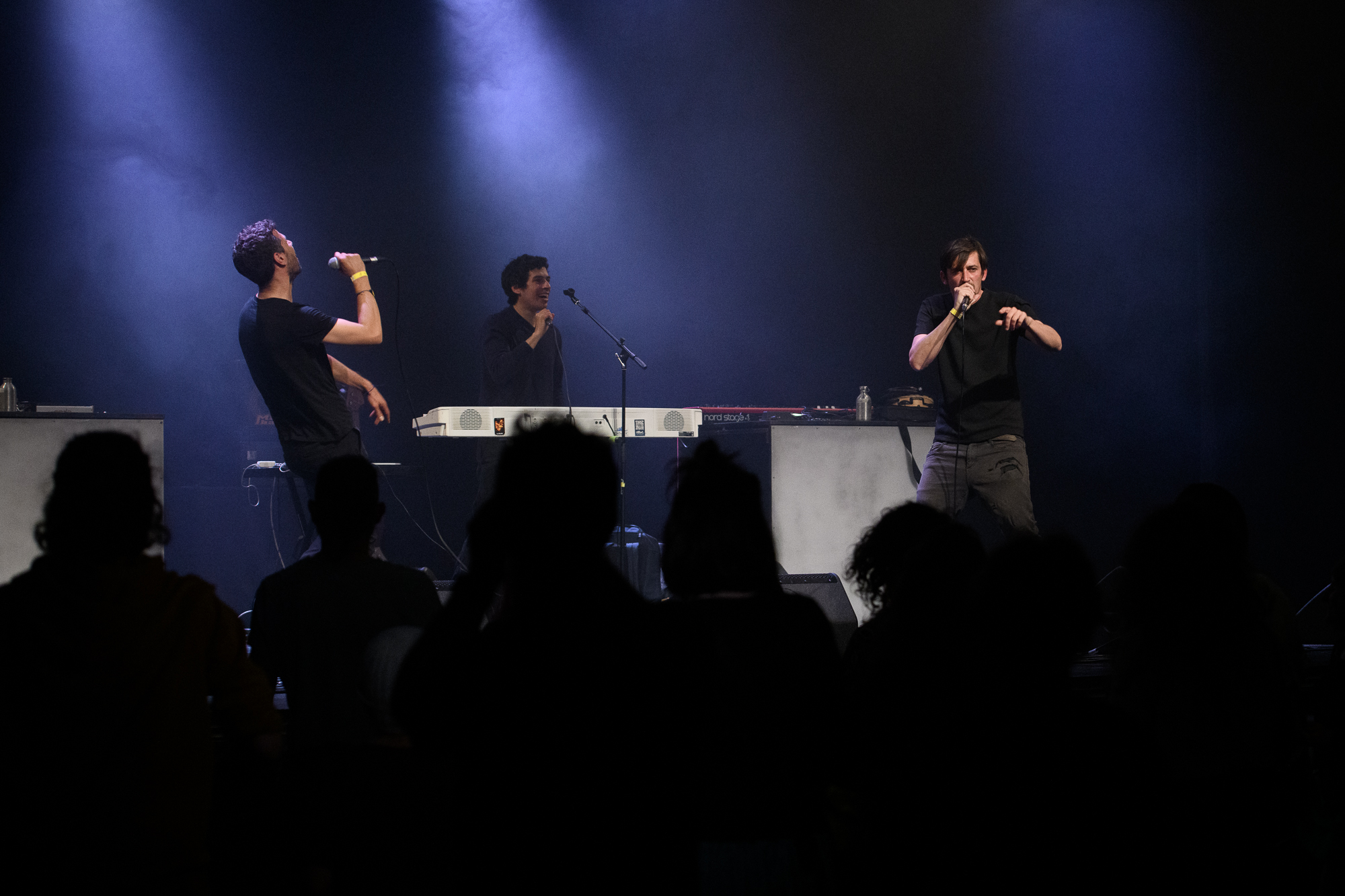 Bois Vert en concert