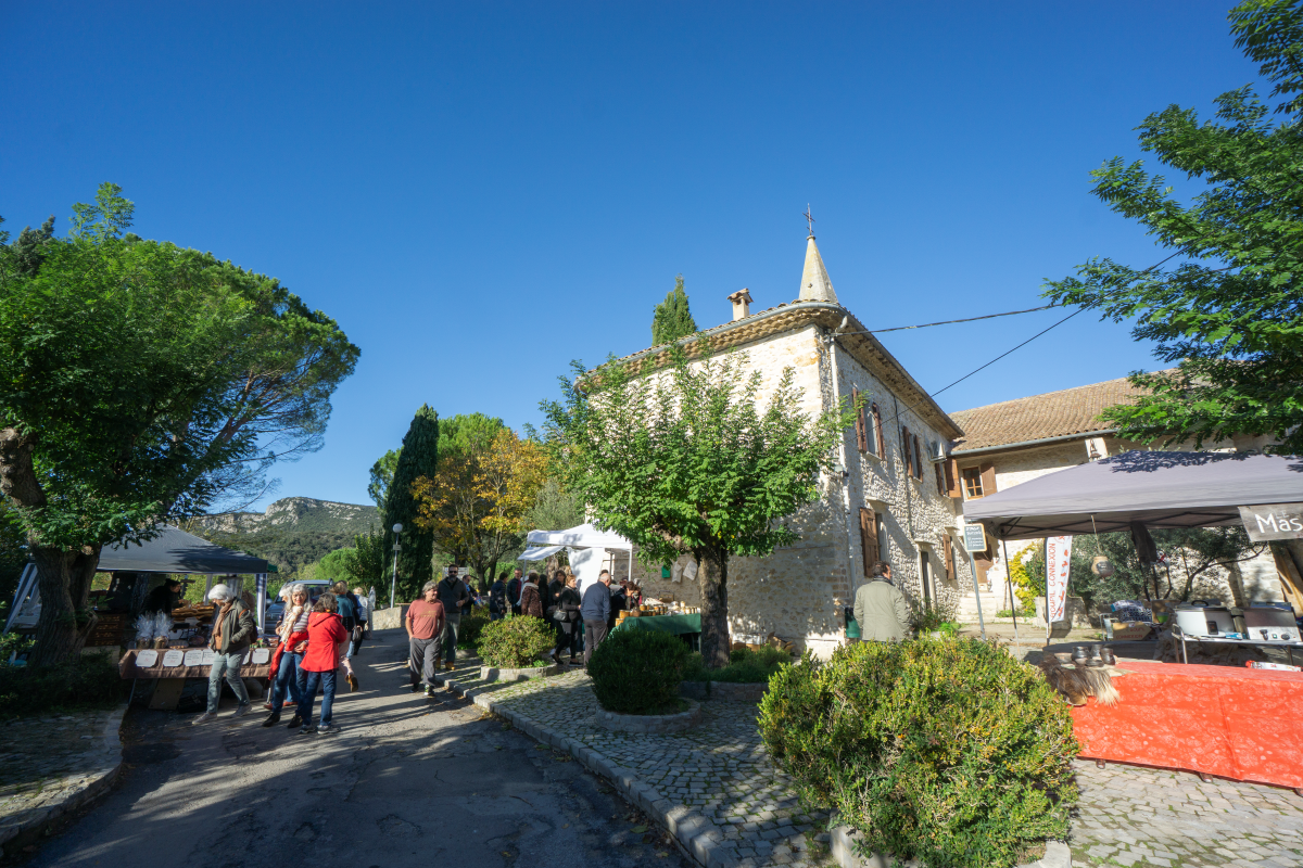Couleurs et senteurs de la garrigue