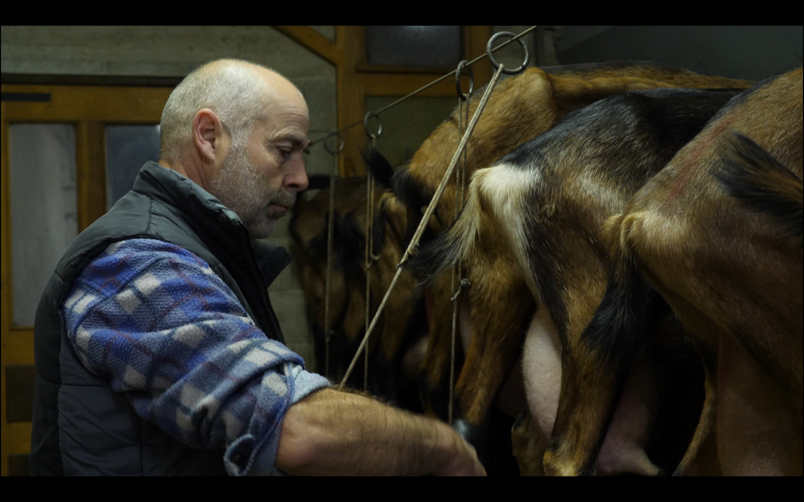 Mon oncle griffon - Projection du documentaire