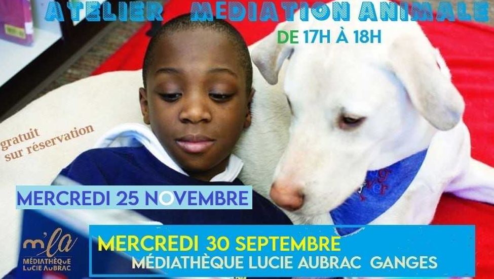 Médiation animale